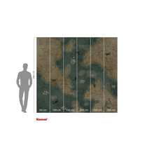 Komar muurschildering met wereldkaartmotief en maataanduidingen.