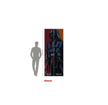 Fotobehang met Darth Vader motief, afmetingen 250 x 100 cm