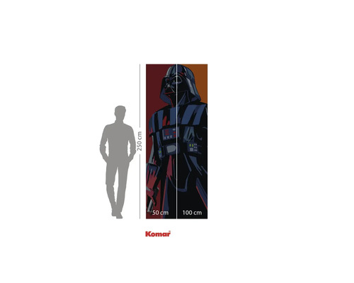 Fotobehang met Darth Vader motief, afmetingen 250 x 100 cm