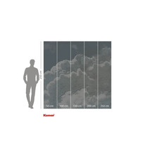 Komar fotobehang met wolkenmotief en maatdetails