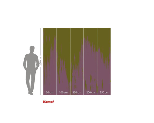 Komar fotobehang met de afmetingen 250 bij 250 centimeter