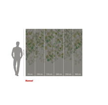 Fotobehang met eucalyptusbladeren en afmetingen