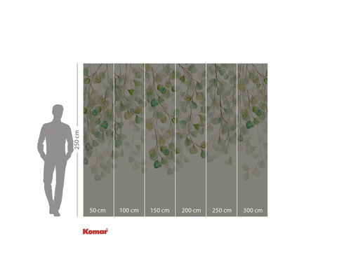 Fotobehang met eucalyptusbladeren en afmetingen