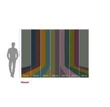 Afbeelding van een kleuren palet behang met breedtes van 50 tot 350 centimeter en een hoogte van 250 centimeter.