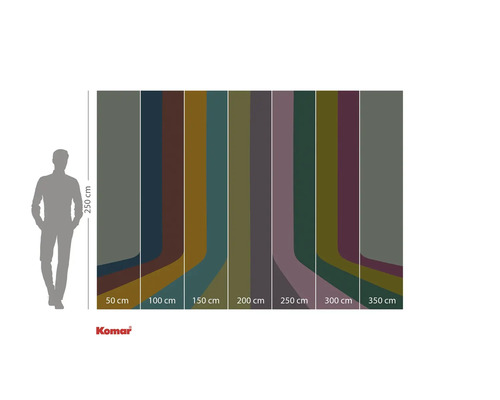 Afbeelding van een kleuren palet behang met breedtes van 50 tot 350 centimeter en een hoogte van 250 centimeter.