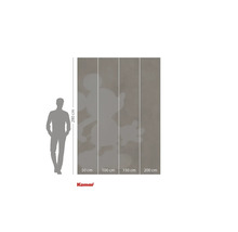 Behang met Mickey Mouse motief en maatvoering