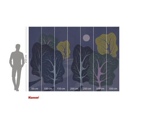 Fotobehang met bosmotief bij nacht en maataanduidingen