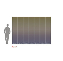 Maataanduidingen van een fotobehang met een hoogte van 250 cm en breedtes van 50 cm tot 350 cm.