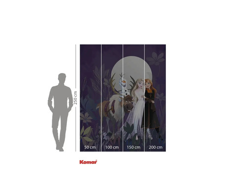 Komar fotobehang met het motief Frozen