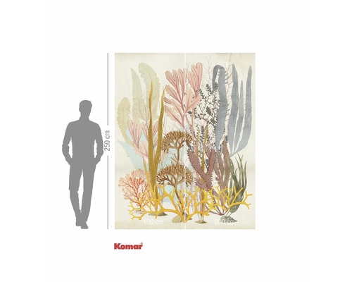 Fotobehang met afbeelding van koralen en algen