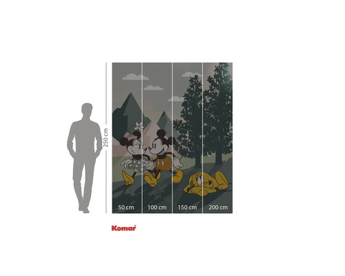 Komar Mickey Mouse en Pluto fotobehang met afmetingen van 250 bij 200 centimeter