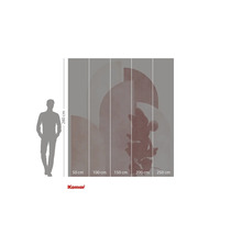 Fotobehang met Mickey Mouse motief en maatgegevens.