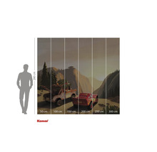 Fotobehang met Cars-motief, bestaande uit meerdere banen met maatindicaties en een silhouet ter vergelijking van de grootte.