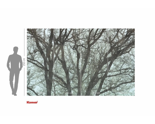 Komar fotobehang met boommotief, 250 bij 400 cm