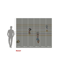 Fotobehang met motieven van Mickey Mouse, Goofy, Donald Duck en Pluto