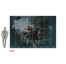 Fotobehang met een motief uit de film Brave, inclusief maataanduidingen