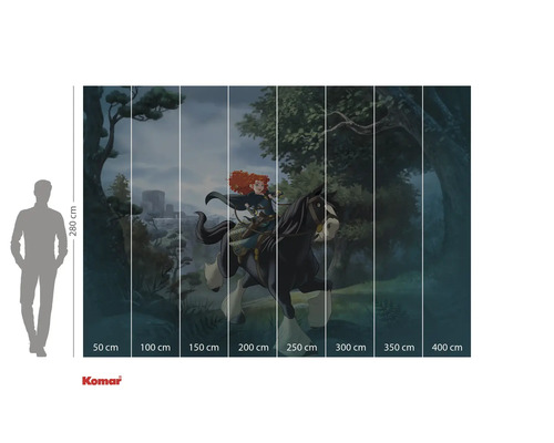 Fotobehang met een motief uit de film Brave, inclusief maataanduidingen