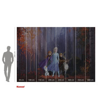 Komar fotobehang met het motief Frozen 2, afmetingen 280 x 400 cm