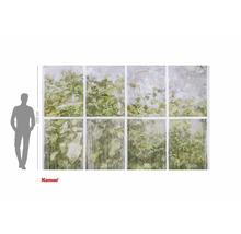 Fotobehang met raammotief en planten