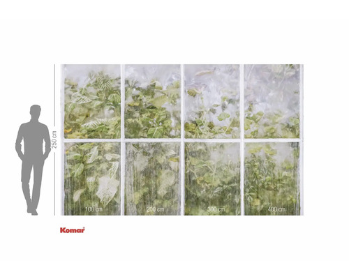 Fotobehang met raammotief en planten