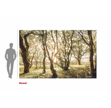 Komar fotobehang met bosmotief en maataanduidingen