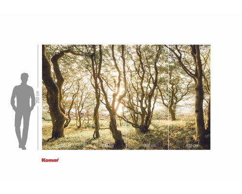 Komar fotobehang met bosmotief en maataanduidingen