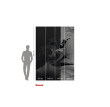 Fotobehang met kraanvogelmotief en maatdetails