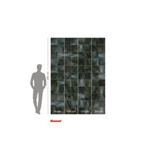 Fotobehang met palmmotief, afmetingen 280 cm x 200 cm