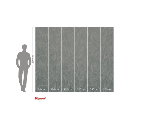 Fotobehang met bladmotief, afmetingen 250 bij 300 centimeter