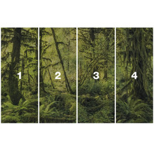 Vierdelige foto van een mosbegroeid bosperceel