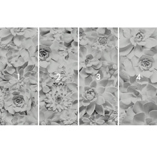 Fotobehang met vetplantmotief, bestaande uit vier delen