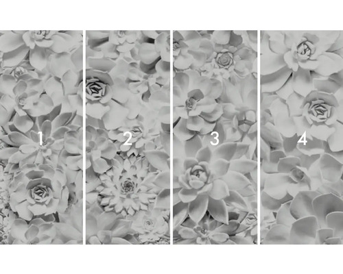 Fotobehang met vetplantmotief, bestaande uit vier delen