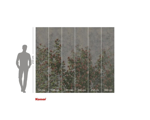 Komar fotobehang met rozenmotief en maatvoering.