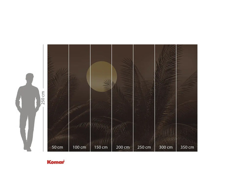 Fotobehang met palmen en maan, afmetingen 350 cm x 250 cm