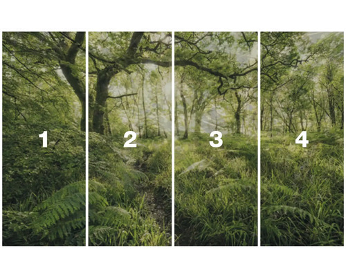 Vierdelig fotobehang met bosmotief