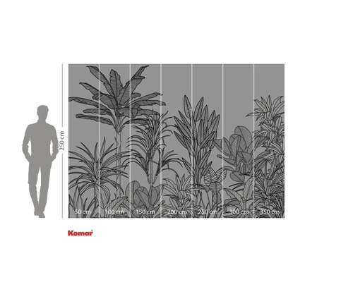 Illustratie van een fotobehang met tropische planten, afmetingen aangegeven