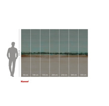 Fotobehang met abstract landschapmotief en maatvoering.