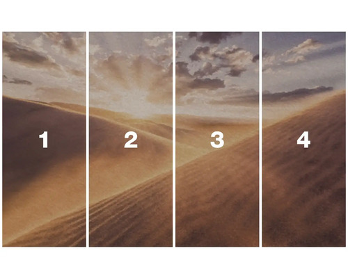 Vierdelig kamerscherm met woestijnthema