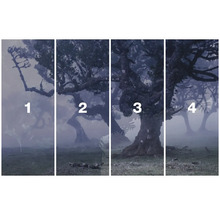 Vierdelige muurschildering met bomen in het bos