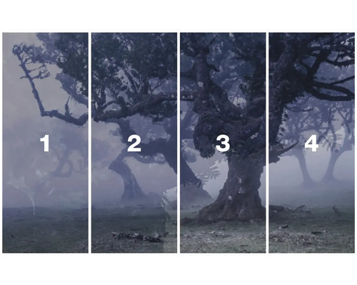 Vierdelige muurschildering met bomen in het bos