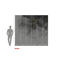 Komar fotobehang met abstract grijs en goudkleurig patroon, maatindicatie.