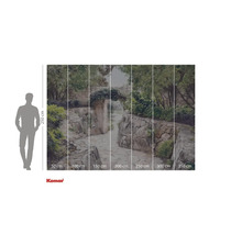 Fotobehang met tuinpad en stenen muur