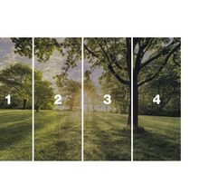 Vlies fotobehang met bosmotief