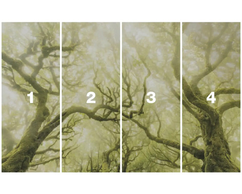 Vierdelig fotobehang met een bosmotief in de mist