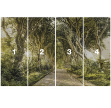 Vierdelige muurschildering met een weg door een bos.