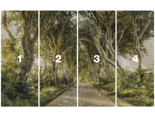 Vierdelige muurschildering met een weg door een bos.