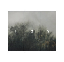 Driedelig bospatroom behang met mist