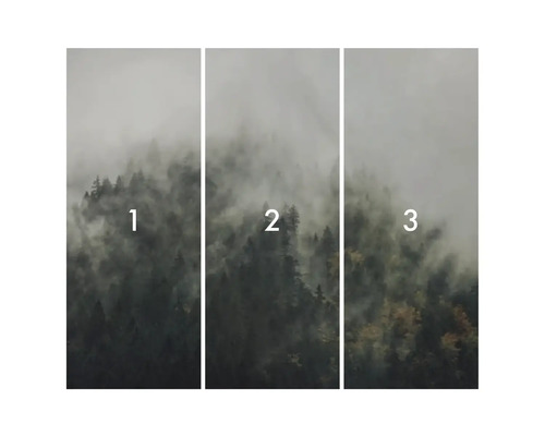 Driedelig bospatroom behang met mist