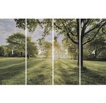 Vierdelig fotobehang met boomlandschap in park