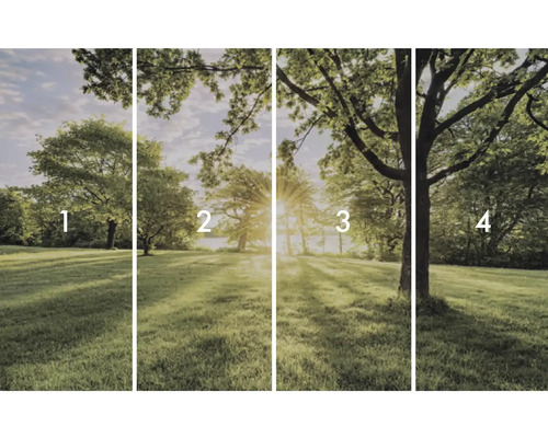 Vierdelig fotobehang met boomlandschap in park